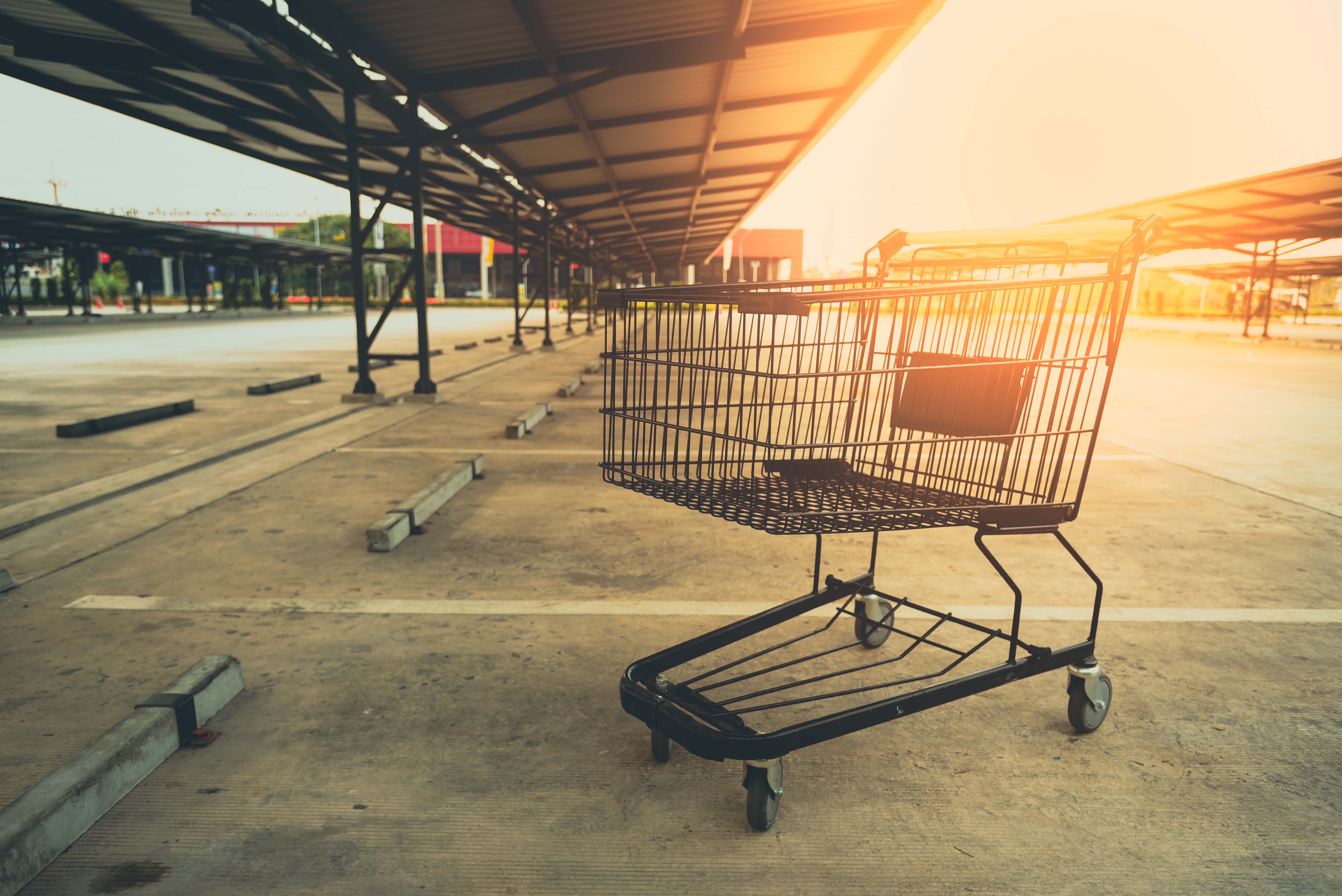 Lonely Shopping Cart